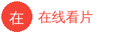 在线看片